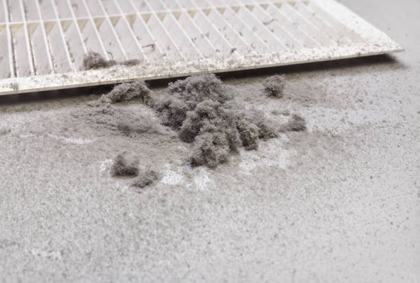 Best Affordable HVAC Duct Cleaning  in St Louis, MI