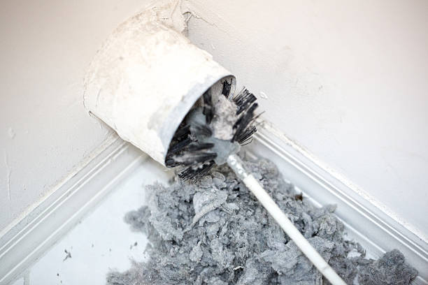 Best Ductwork Cleaning Services  in St Louis, MI